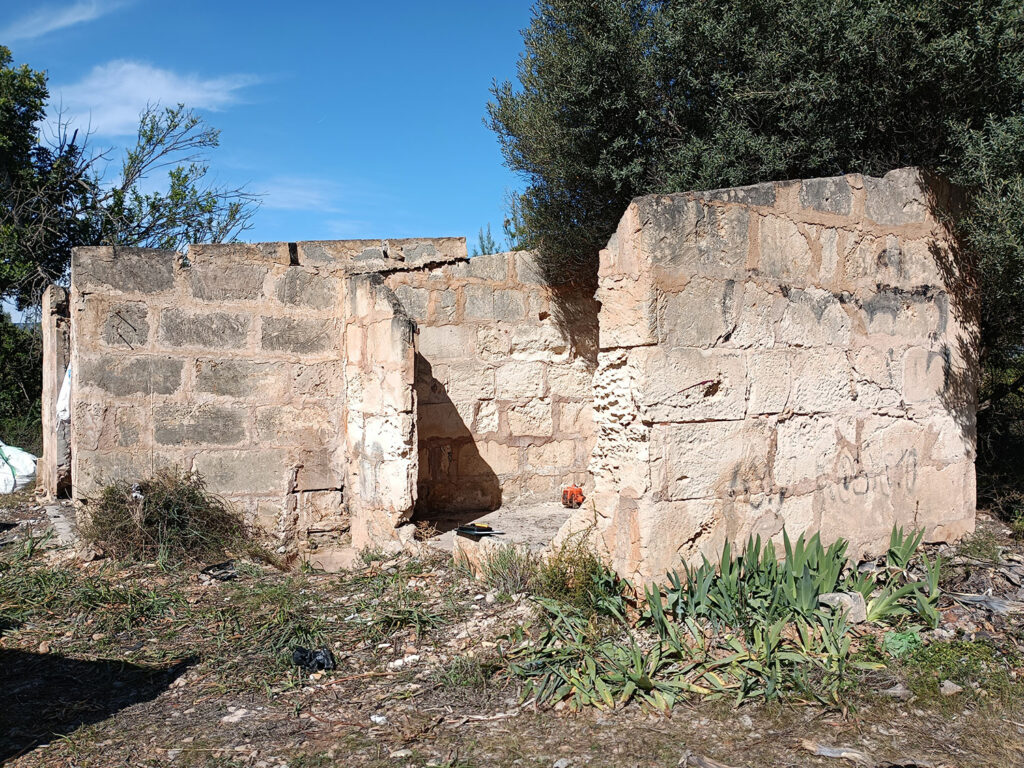 SonReus2